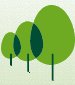 Wintergreen Fund