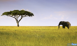 Article's Cover Image