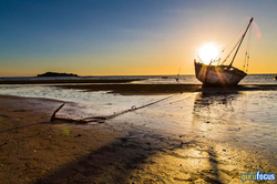 Article's Cover Image
