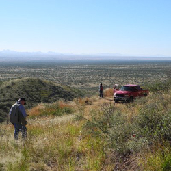 Article's Cover Image