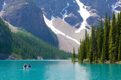 Article's Cover Image