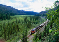 Article's Cover Image