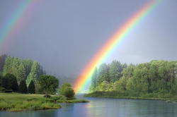 Article's Cover Image