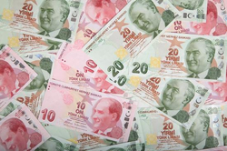 Article's Cover Image