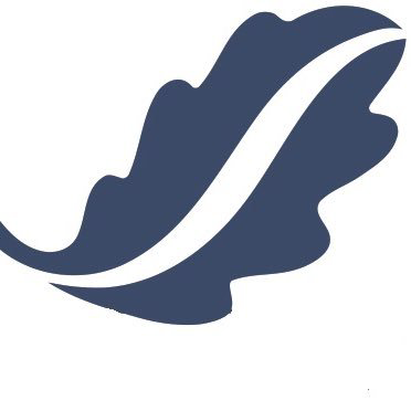 Article's Main Image