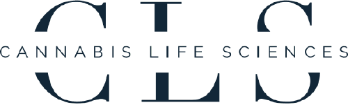 Article's Main Image