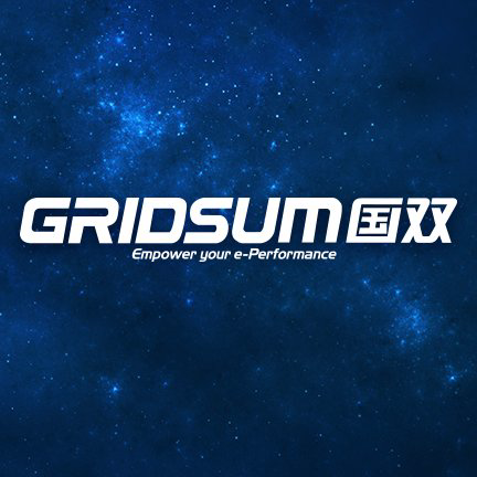 Gridsum Holding Inc Gridsum Holding Inc logo